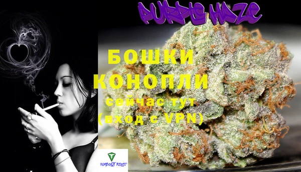 молекула духа Инсар