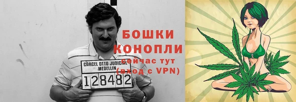 молекула духа Инсар