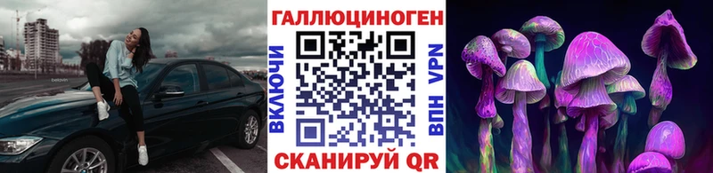 Псилоцибиновые грибы Cubensis  Купить закладки  Бабаево 